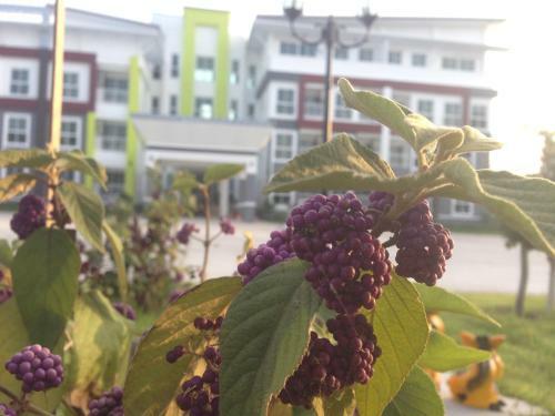 Praiyanan Place Hotel