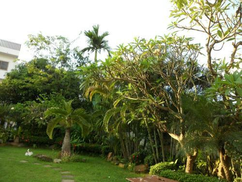 Hotel White Elephant Resort