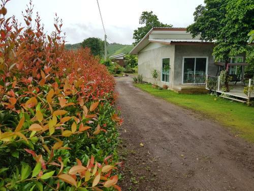 Hostal C-hill@khaokho