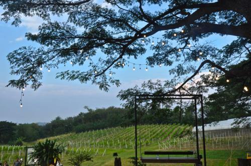 Issara Boutique Winery Hotel