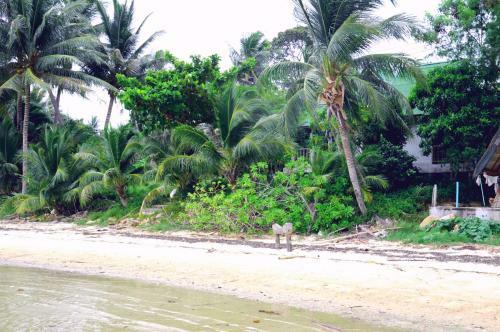 Hotel Seaview'n'beach Resort