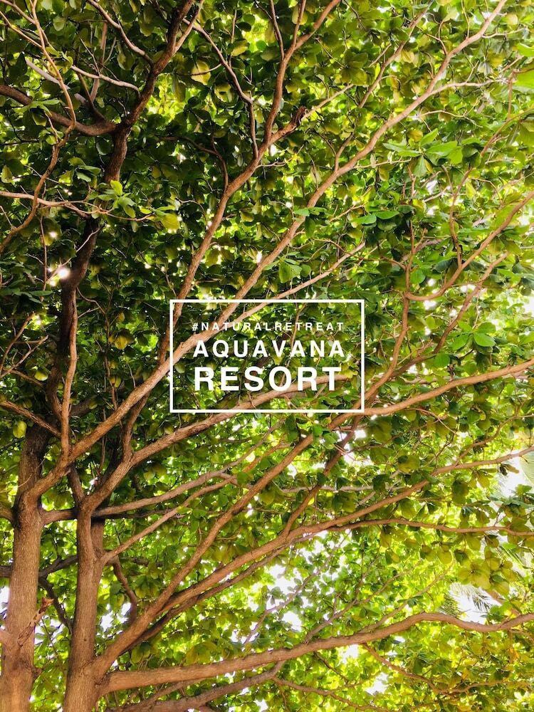 Hotel Aquavana Haad Rin Resort