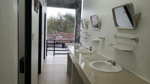 Wild & Wandering Backpacker Hostel & Bar