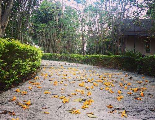 Hotel Khaoyai Nature Retreat