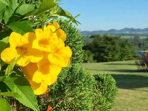 Hotel Khaoyai Nature Retreat