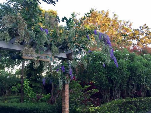 Hotel Khaoyai Nature Retreat