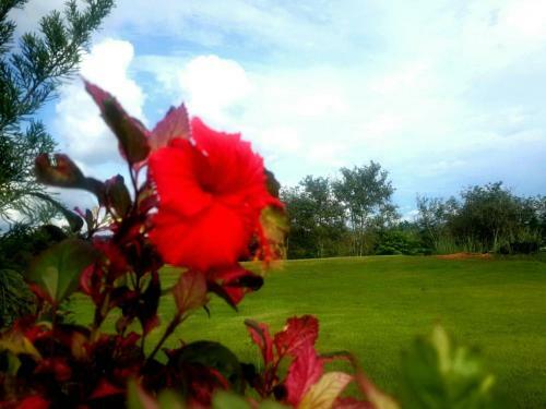 Hotel Khaoyai Nature Retreat