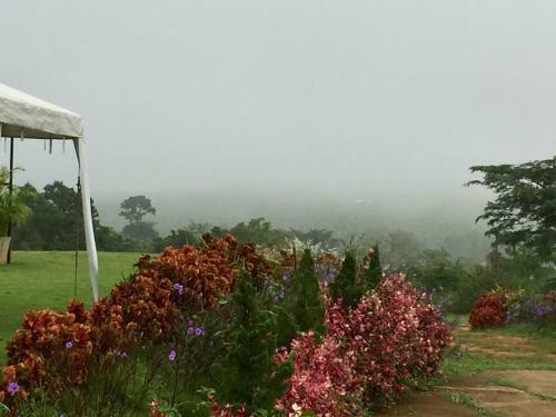 Hotel Khaoyai Nature Retreat