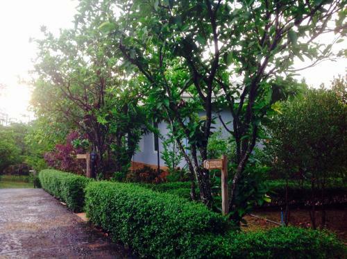 Hotel Khaoyai Nature Retreat