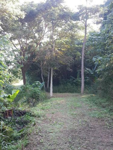 Hotel Khaoyai Nature Retreat