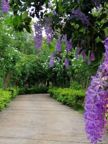 Hotel Khaoyai Nature Retreat