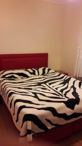Snow Hill Boutique Hotel And Apart