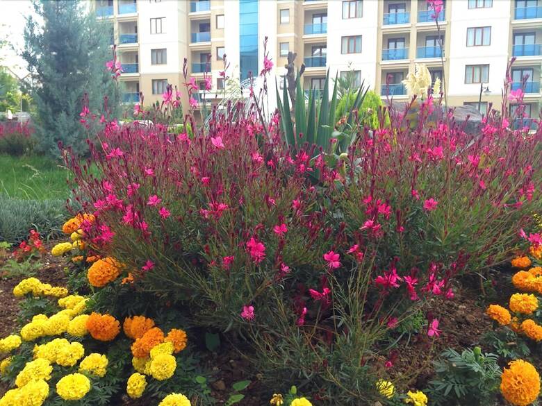 Hotel Grand Ozgul Thermal Holiday Village