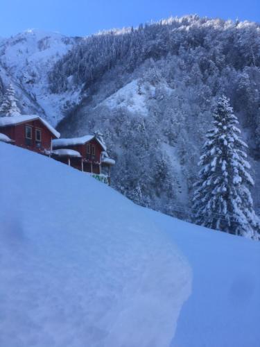 Ayder Villa Gencal