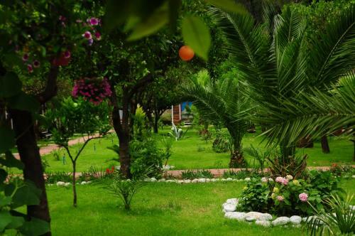 Agroturismo Likya Evleri Olympos
