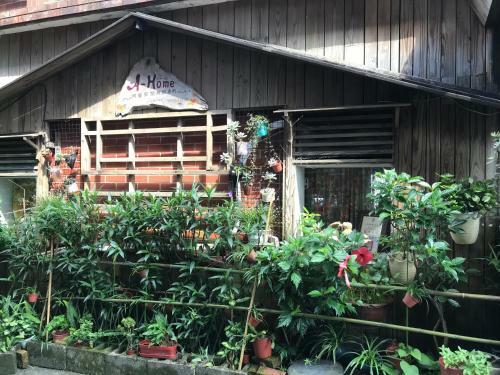 Bed & Breakfast A-home