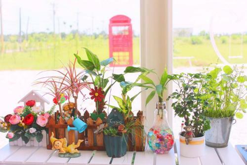 Mini Home B&B