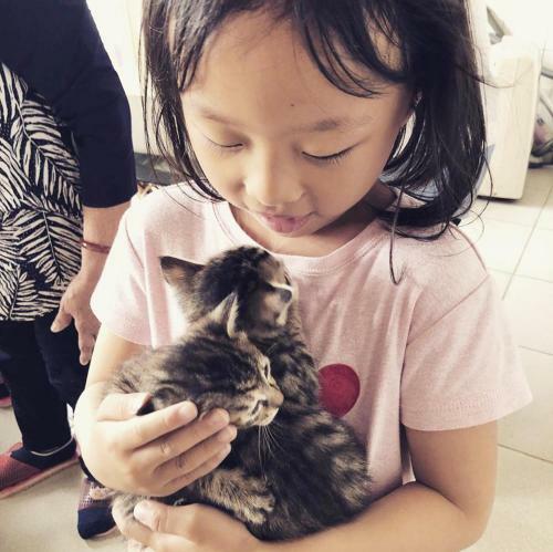 Apartamento Meo-woo Cat Travel