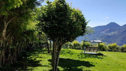 Hostal Starvilla