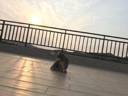 Yujing Warm Breezewarm X Sunny Sky Homestay