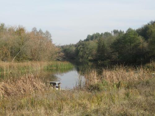 Lodge Fishing Park