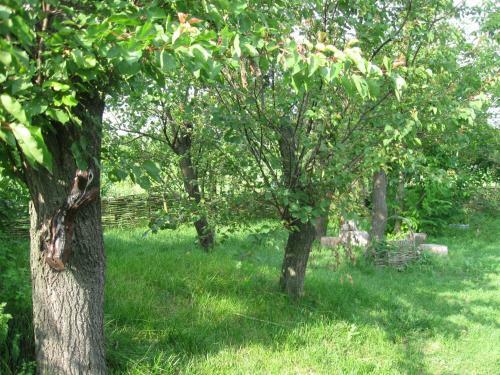 Agroturismo Maliovnytsya