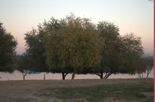 Apartamento Arlen Vendeghaz