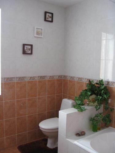 Hostal Alisa