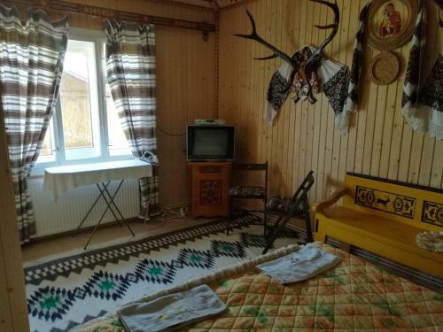 Lodge Gutsulska Oselya
