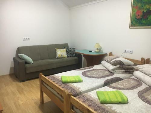 Albergue Alekselena