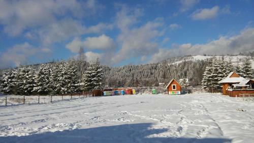 Hostal Karpatskyi Gomin
