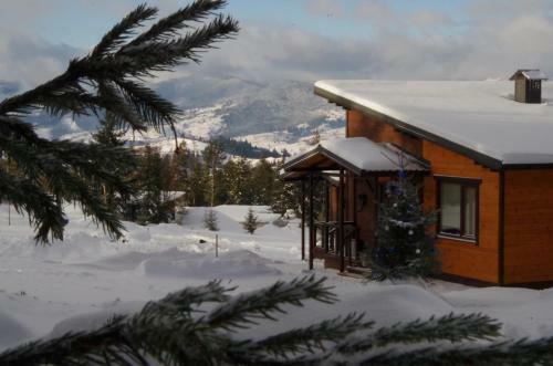 Lodge ??????? ??? ?????? "?????????"