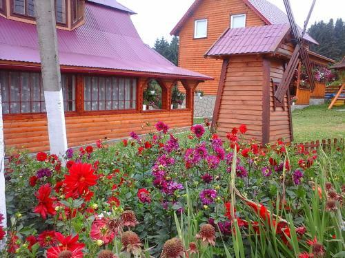 Hostal Romashka Guest House