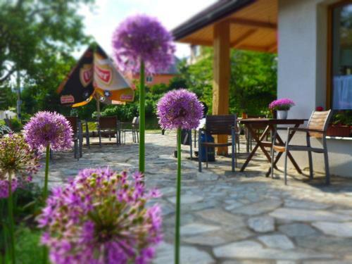 Hostal Penzion U Hanky