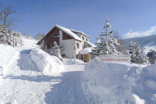 Hostal Penzion U Hanky