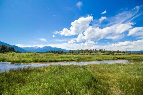 Heavenly Pines
