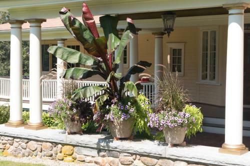 Bed & Breakfast Mountain View Green Retreat