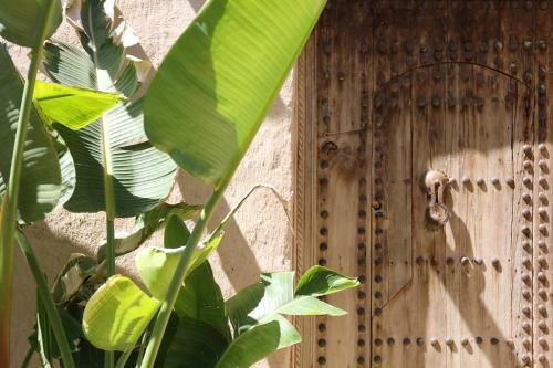 Bed & Breakfast Le Petit H�tel Du Flouka