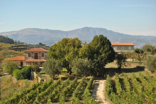 Hostal Casa De Sao Miguel Douro