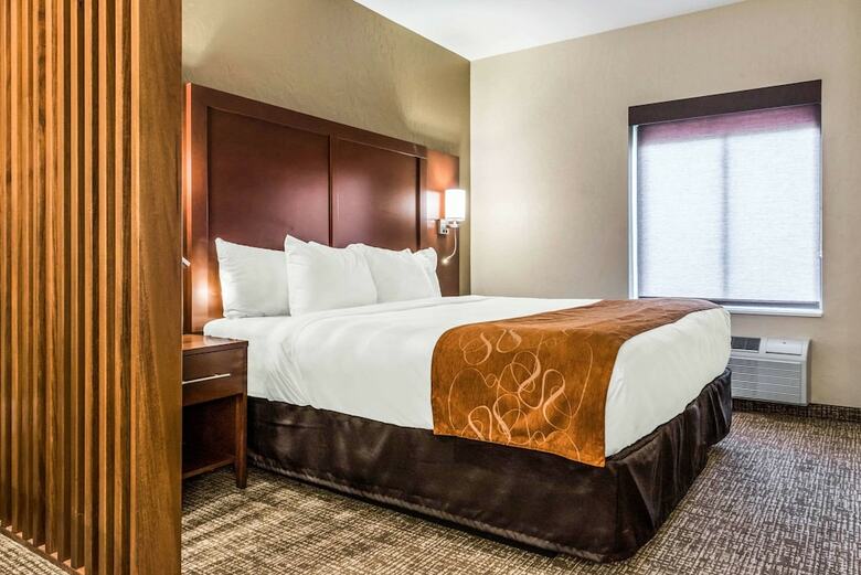 Hotel Comfort Suites Florence - Cincinnati South