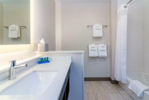 Hotel Holiday Inn Express & Suites - Allen Park