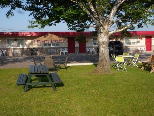 The Silver Birch Motel