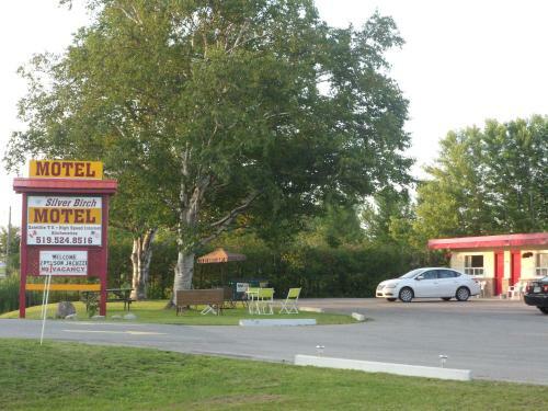 The Silver Birch Motel