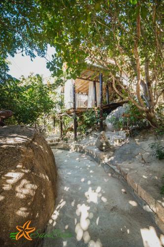 Hotel Sao Bi?n Cam Ranh - Starfish Cam Ranh