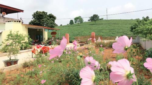Homestay L�ng Ch� 69