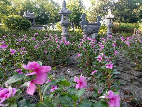 Hotel Cucphuong Resort