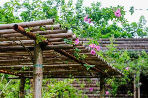 Hotel Flamingo Dai Lai Resort
