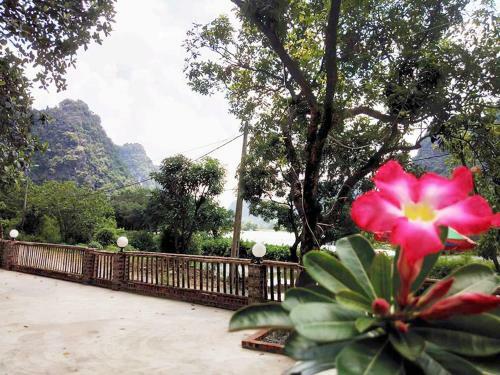 Trang An Central Homestay