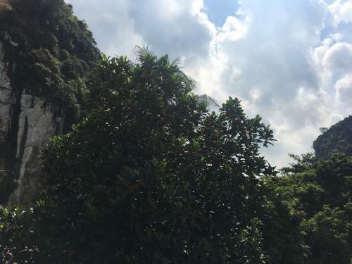 Mai's Homestay Trang An Village