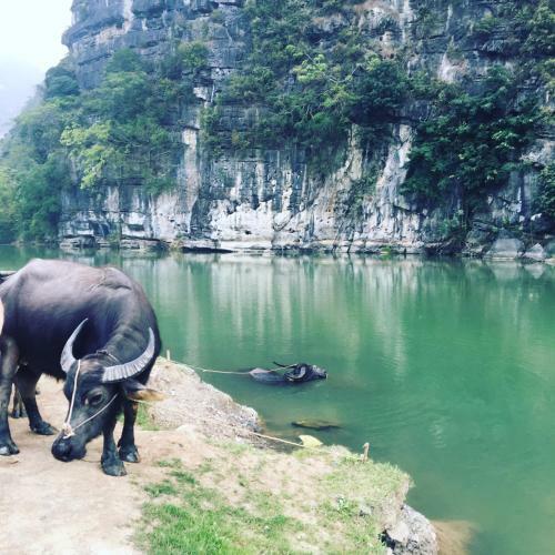 Mai's Homestay Trang An Village